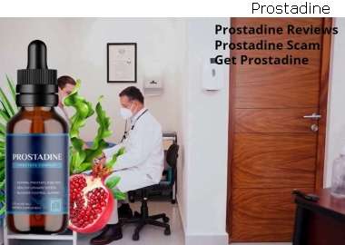 Prostadine Ingredients Review